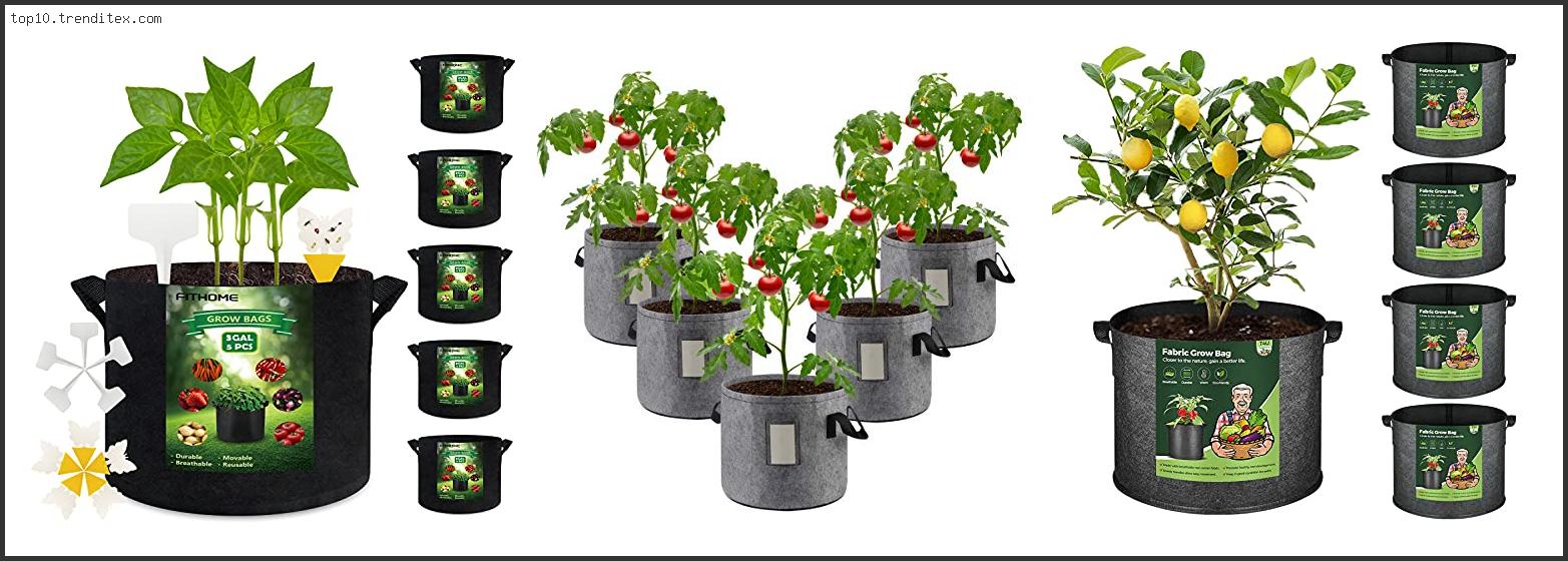 Best Fabric Grow Bags For Tomatoes