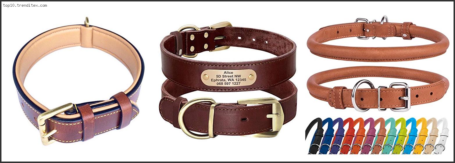 Best Leather Dog Collar