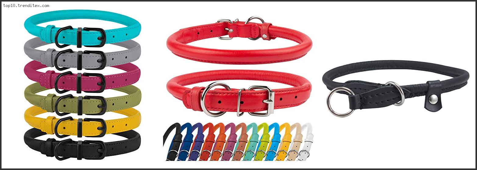 Best Rolled Leather Dog Collar