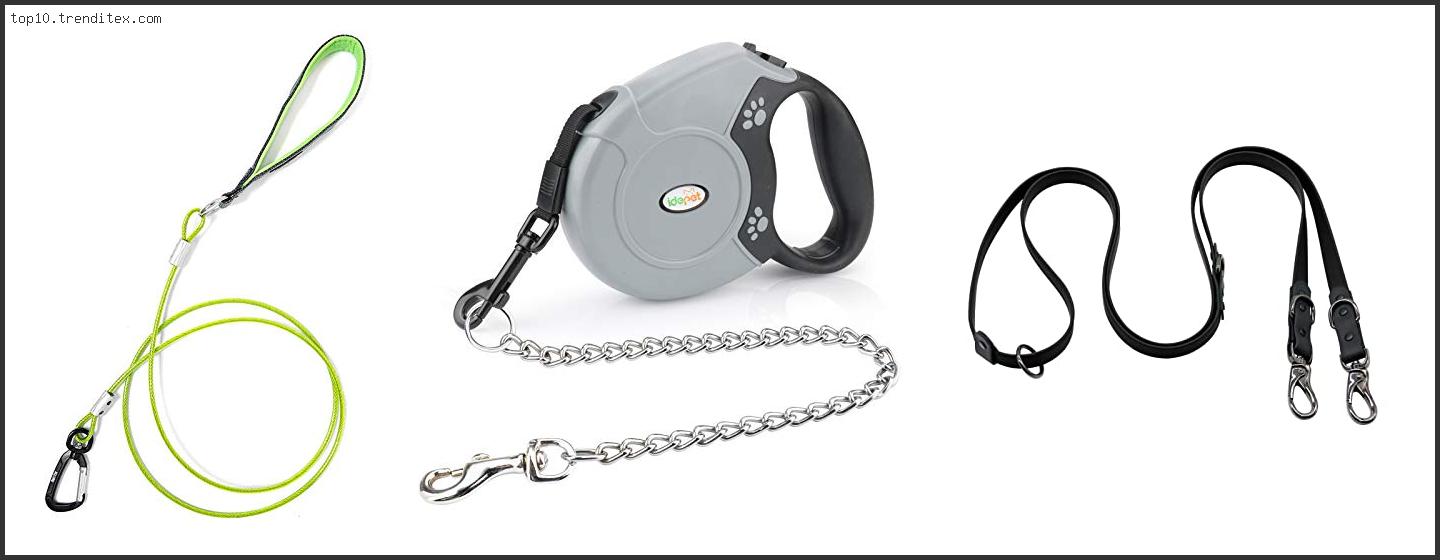 Best Chew Proof Retractable Dog Leash