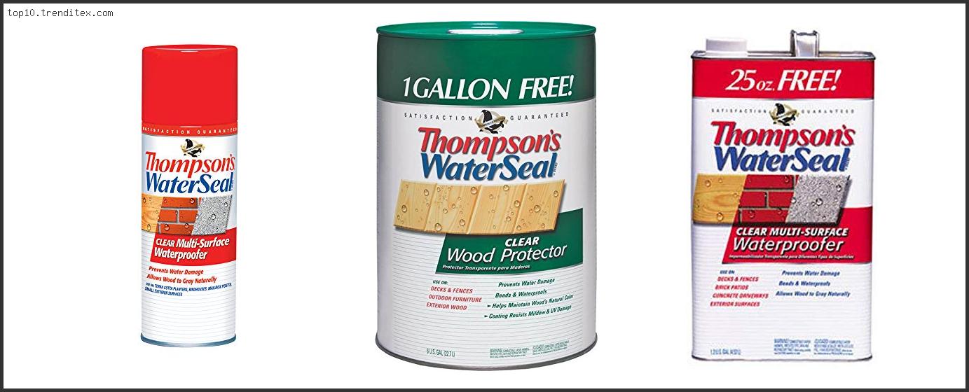 Best Sprayer For Thompson Water Seal