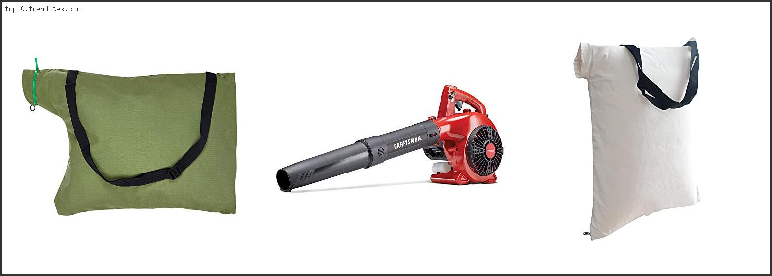 Best Craftsman Leaf Blower Vacuum Bag