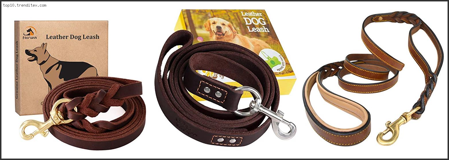 Best Leather Dog Leash