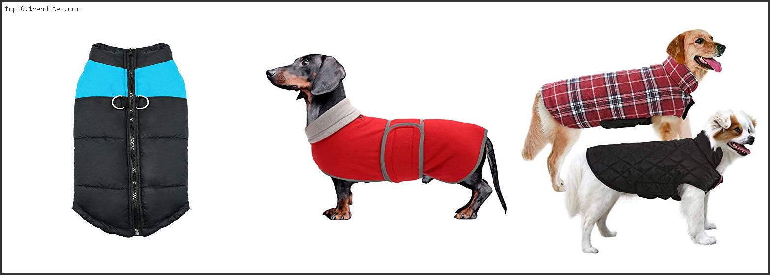 Best Mini Dachshund Coats And Sweaters