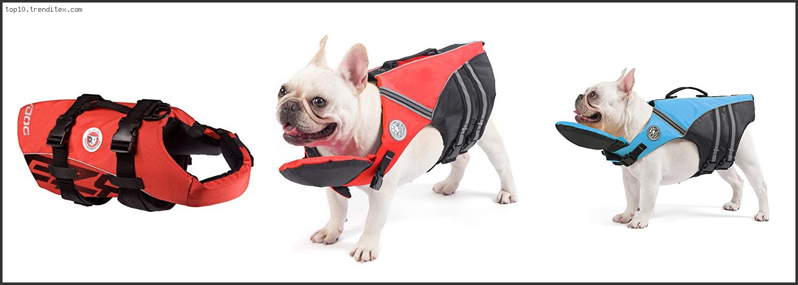 Best Life Jacket For French Bulldog